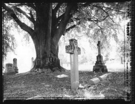 Lone Fir Cemetery