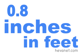 0.8 inches in feet