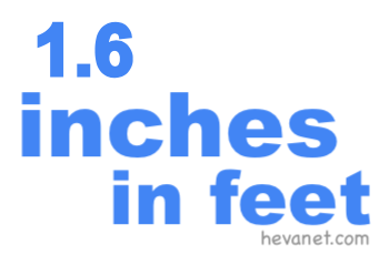 1.6 inches in feet