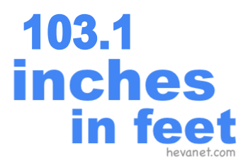 103.1 inches in feet