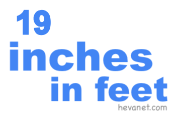 19 inches in feet