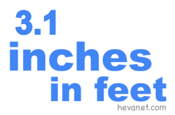 3.1 inches in feet