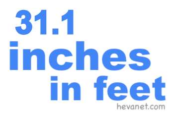 31.1 inches in feet