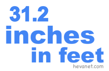 31.2 inches in feet