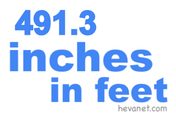 491.3 inches in feet