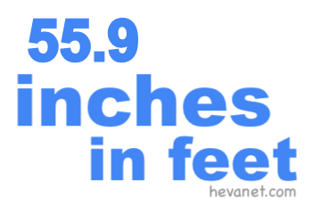 55.9 inches in feet