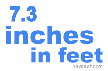 7.3 inches in feet