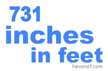 731 inches in feet