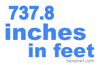 737.8 inches in feet