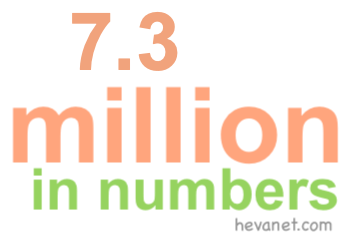 7.3 million in numbers