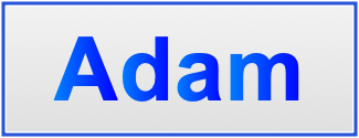 Image of the name Adam