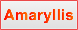 Image of the name Amaryllis