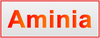 Image of the name Aminia
