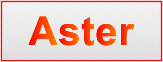 Image of the name Aster Image of the name Aster