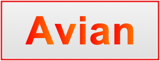 Image of the name Avian