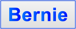 Image of the name Bernie Image of the name Bernie