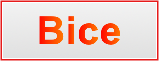 Image of the name Bice
