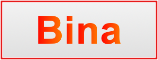 Image of the name Bina Image of the name Bina