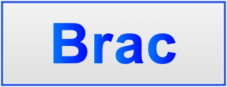 Image of the name Brac