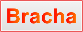 Image of the name Bracha