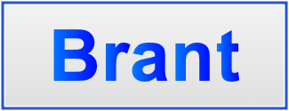 Image of the name Brant