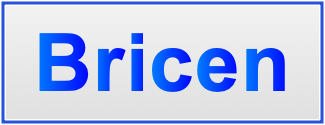 Image of the name Bricen