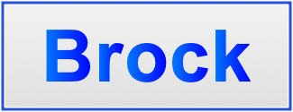 Image of the name Brock