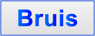 Image of the name Bruis