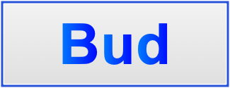 Image of the name Bud