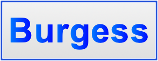 Image of the name Burgess