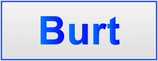 Image of the name Burt