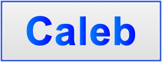 Image of the name Caleb