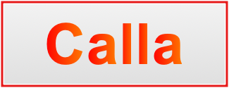 Image of the name Calla
