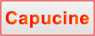 Image of the name Capucine