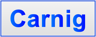 Image of the name Carnig