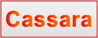 Image of the name Cassara