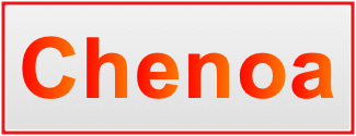 Image of the name Chenoa