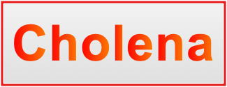 Image of the name Cholena