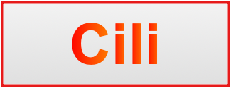 Image of the name Cili