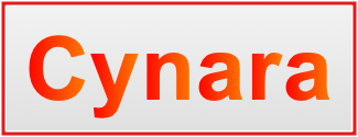 Image of the name Cynara Image of the name Cynara