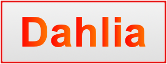 Image of the name Dahlia