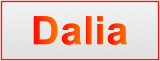 Image of the name Dalia