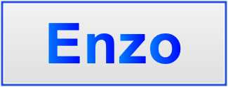 Image of the name Enzo