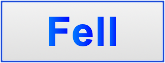 Image of the name Fell