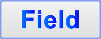 Image of the name Field Image of the name Field