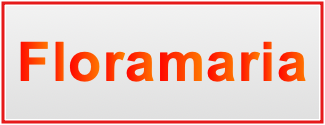 Image of the name Floramaria