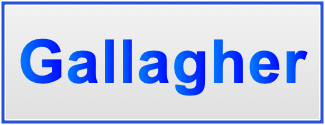 Image of the name Gallagher