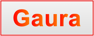Image of the name Gaura Image of the name Gaura