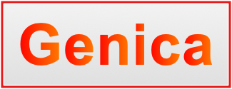 Image of the name Genica Image of the name Genica