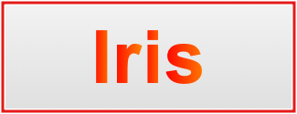 Image of the name Iris